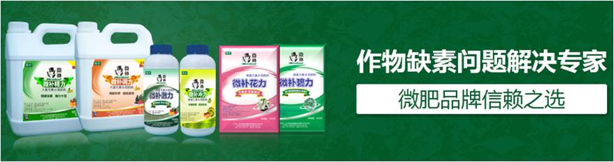#微肥課堂#為什么葉面肥養(yǎng)分含量相同，效果卻不同？
