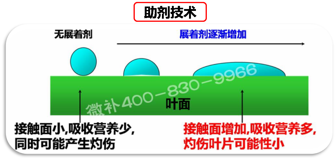 余教授德國鄉(xiāng)村行：我在德國為什么不會(huì)點(diǎn)啤酒了？