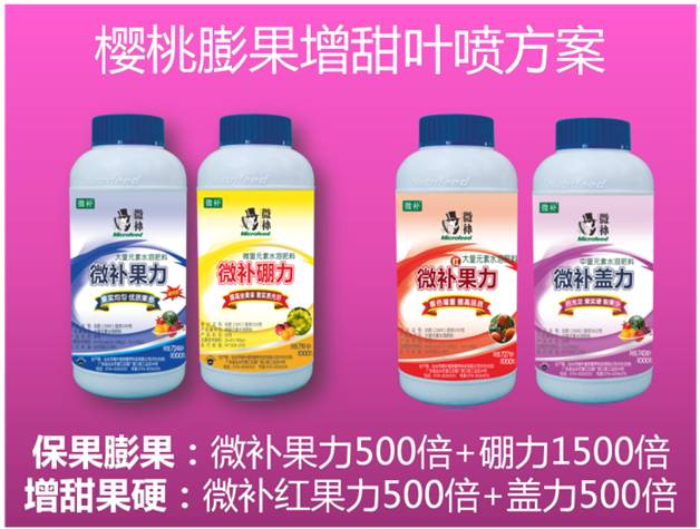 櫻桃用什么葉面肥？