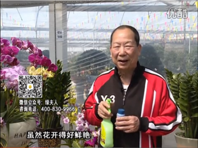 20160314珠江臺搖錢樹：家種鮮花、鮮切花，用綠夫人600度鮮花液?；ㄆG、花期長