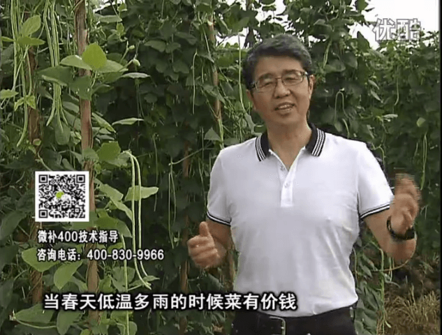 20160704珠江臺(tái)搖錢樹：蔬菜用微補(bǔ)方案，省肥藥又保產(chǎn)
