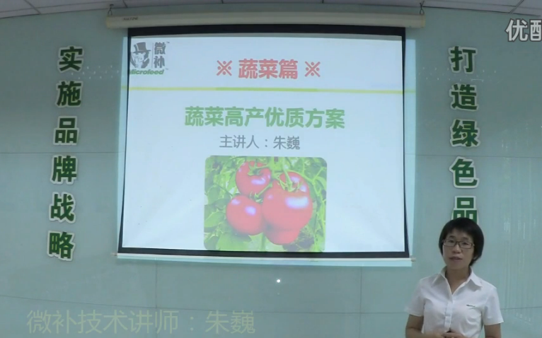蔬菜-提苗壯長(zhǎng)、提高坐果高產(chǎn)方案.微補(bǔ)講座