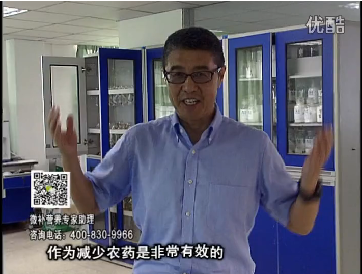 20161024珠江臺搖錢樹：種植作物調酸、平衡營養(yǎng)、提高抗病力能大大降低病害發(fā)生和農藥使用量