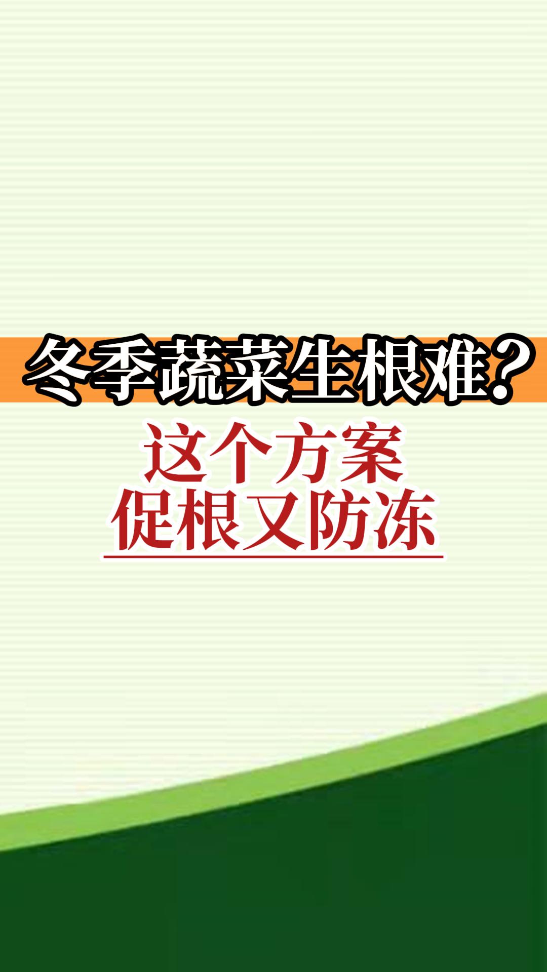 冬季蔬菜生根難？這個方案促根又防凍