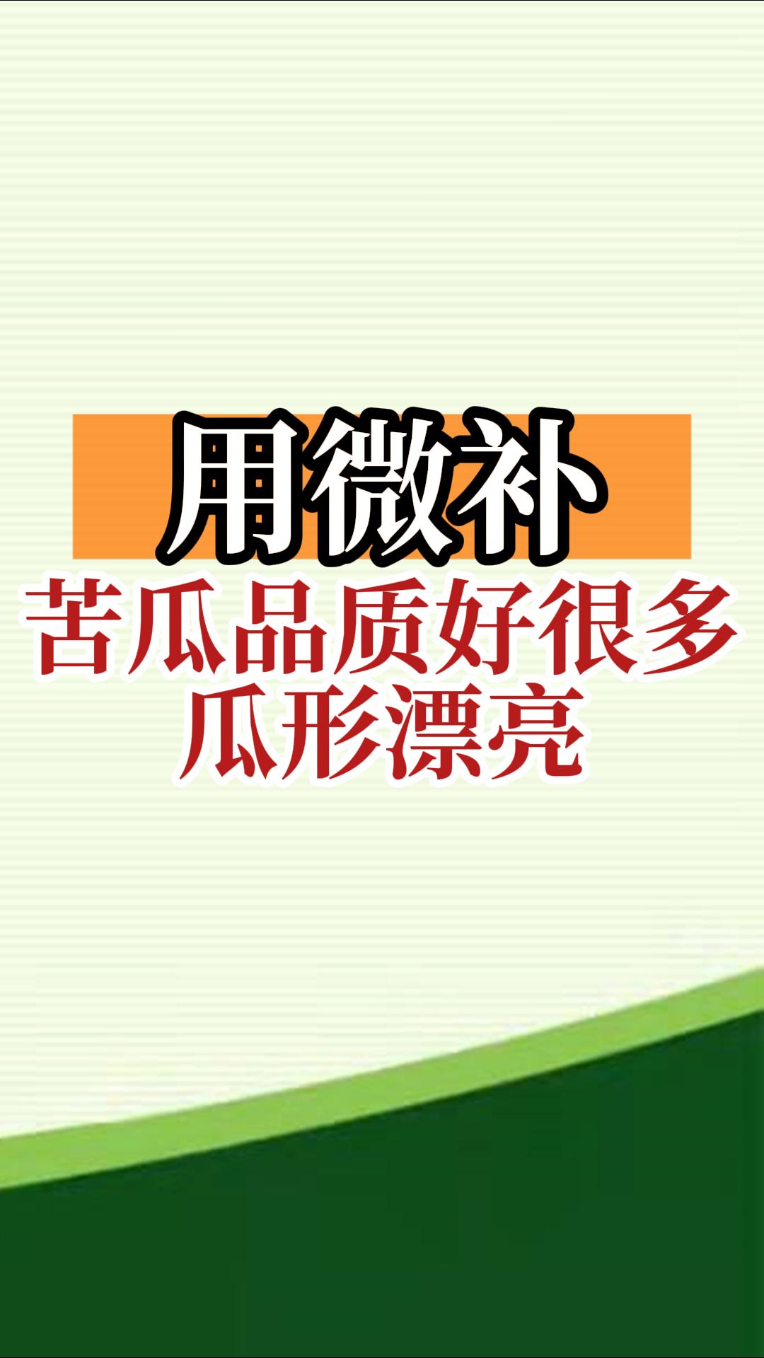 用微補，苦瓜品質(zhì)好很多，瓜形漂亮