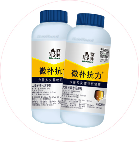 如何做好冬季清園，減少來年病蟲害影響