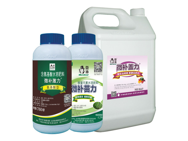 讓作物安全過冬的實用小妙招，速看
