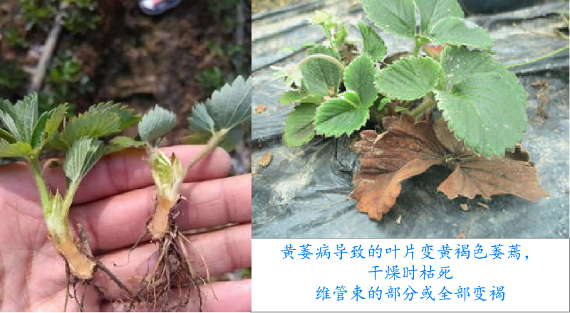 圖片5
