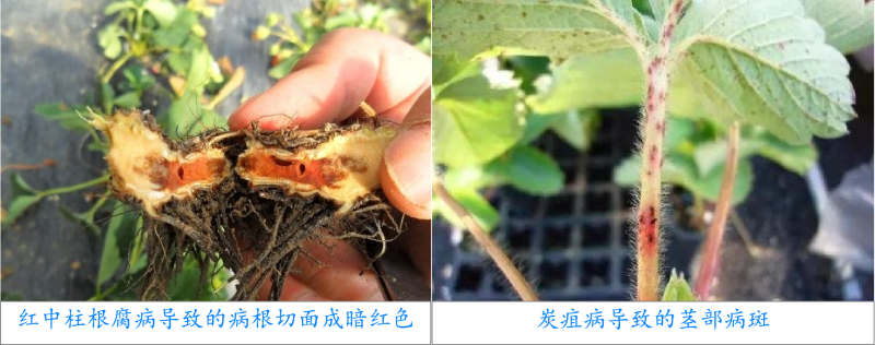 圖片6